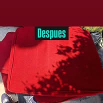 Tapete después de la limpieza